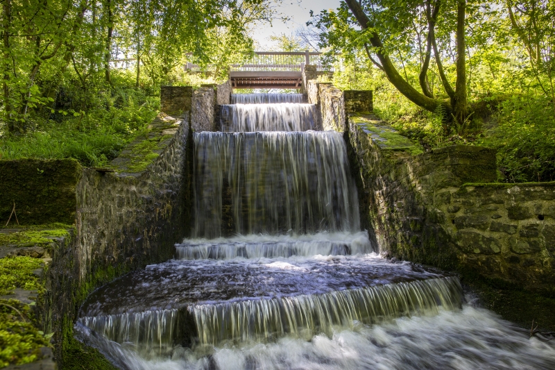 National Botanic Garden of Wales